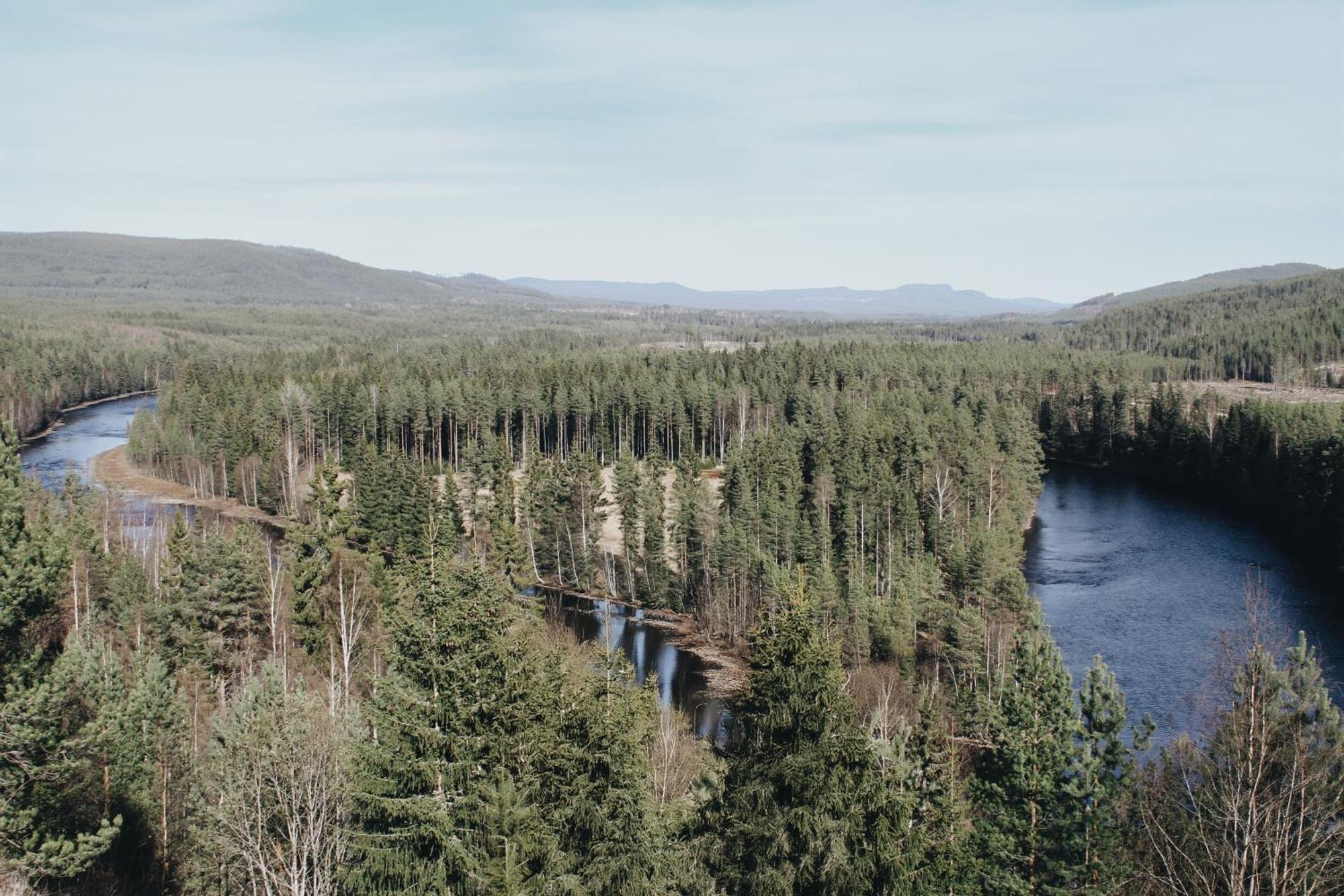 Asens Vandrarhem Uvboet Älvdalen Exterior foto